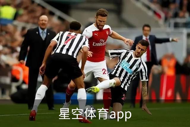 星空体育app公司简介